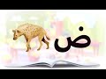 تعليم الحروف العربية بالحركات بالفصحى بالصوت والصورة