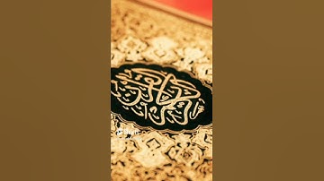 ما تيسّر من [الجزء الثّامن والعشرين] للقارئ أمين موسى. رائعة.