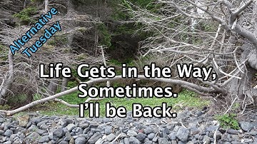 Life Gets in the Way, Sometimes.   I