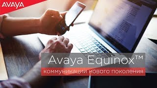 Avaya Equinox: коммуникации для повседневной работы screenshot 4