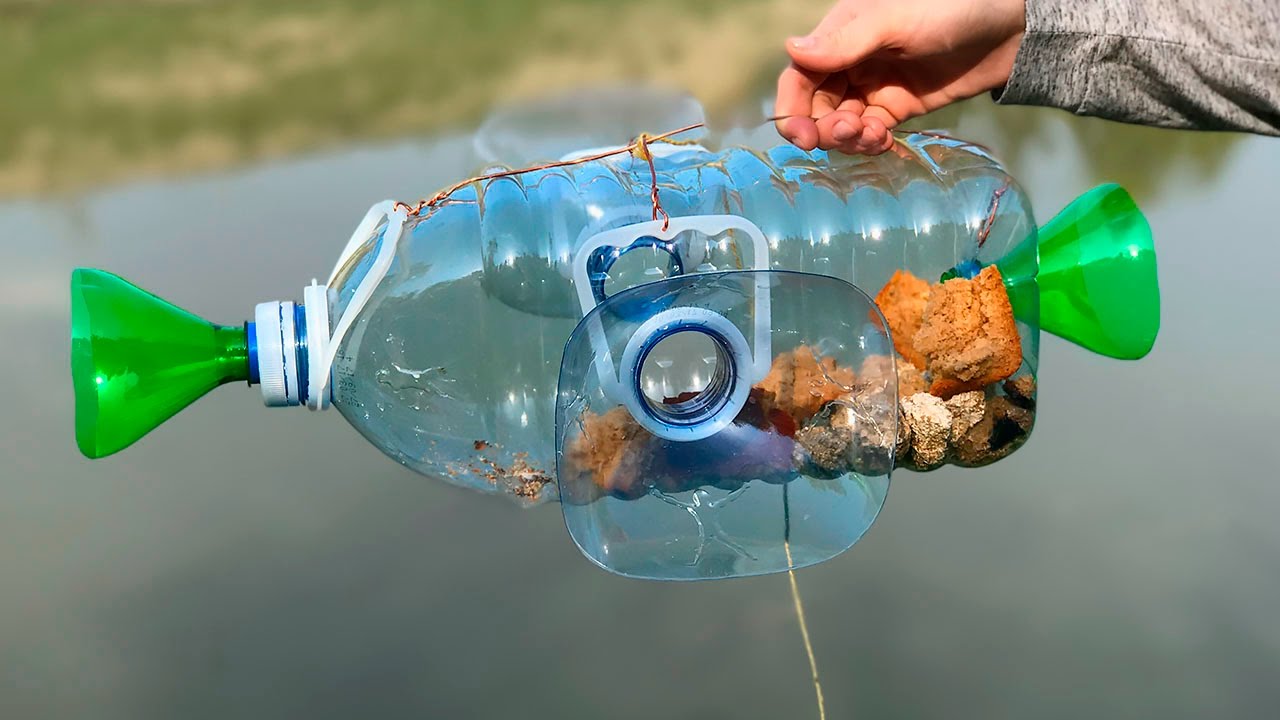 Обычная ловушка из пластиковой бутылки