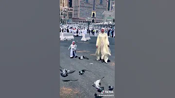 لما بقينا فالحرم حسين الجسمي 