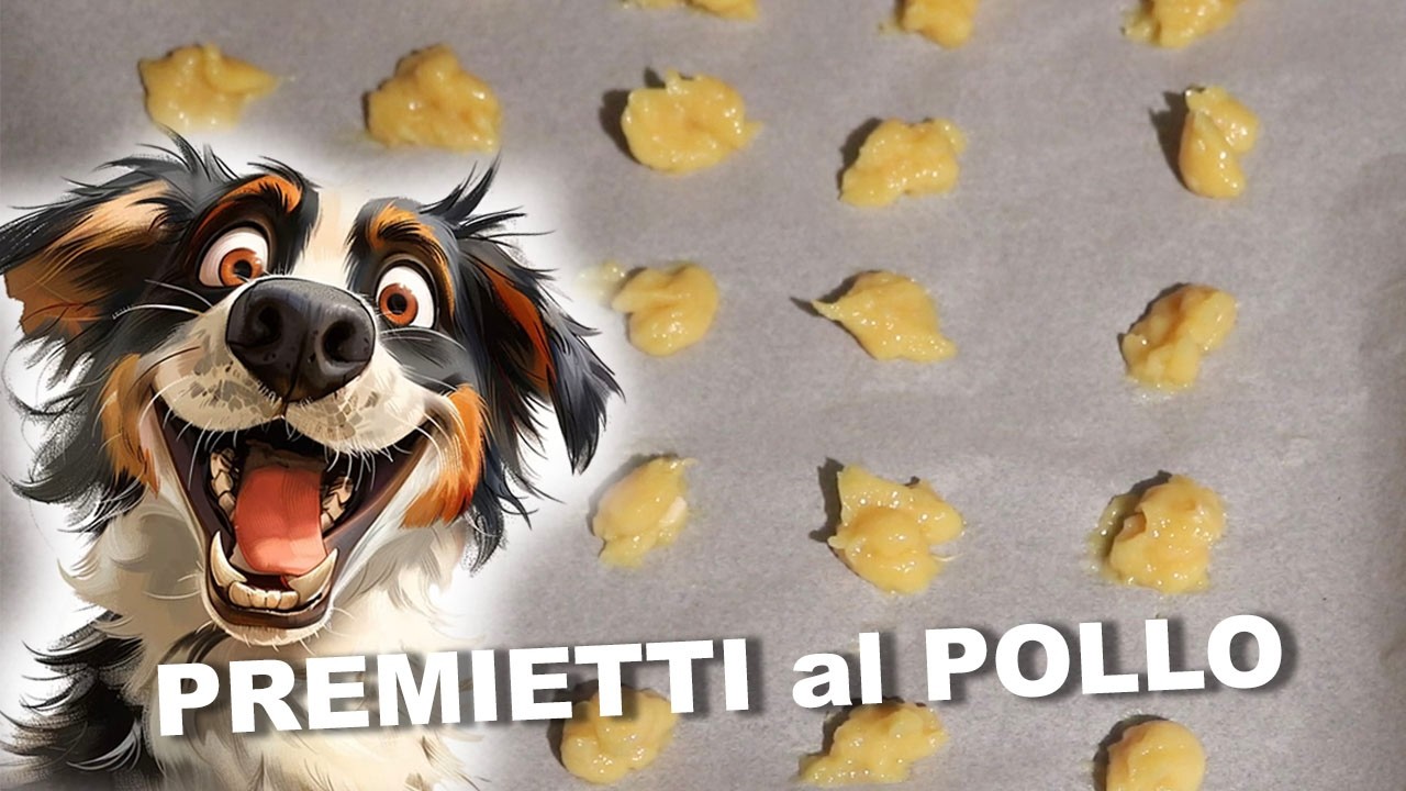 Premietti al POLLO per cani fatti in CASA