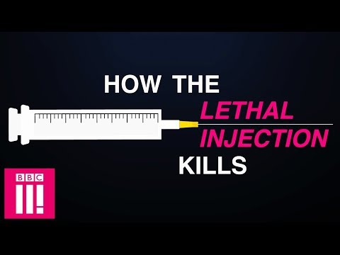 How The Lethal Injection Kills