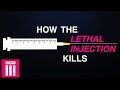 How The Lethal Injection Kills