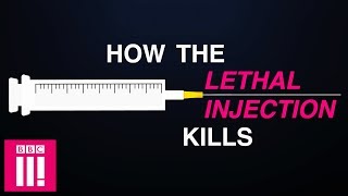 How The Lethal Injection Kills