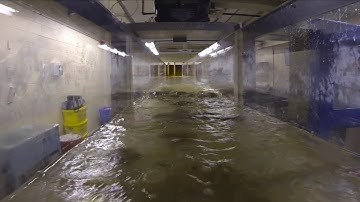 Experiential Education: The Flume