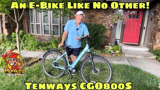 Why You Need A Tenway CGO800S Electric Bike!