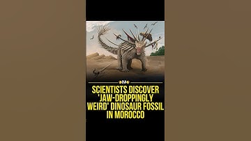 Jaw dropping new dinosaur fossil discovered 💀