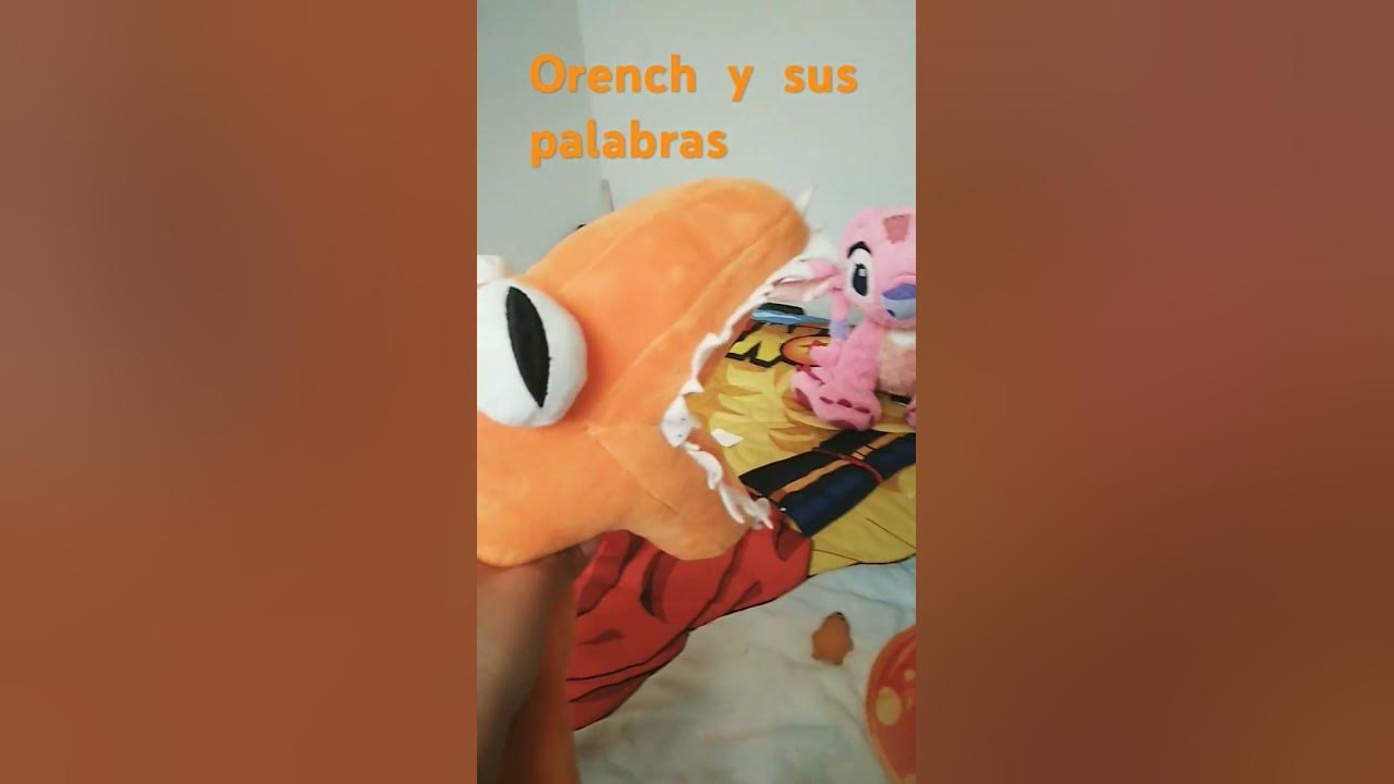 www holi