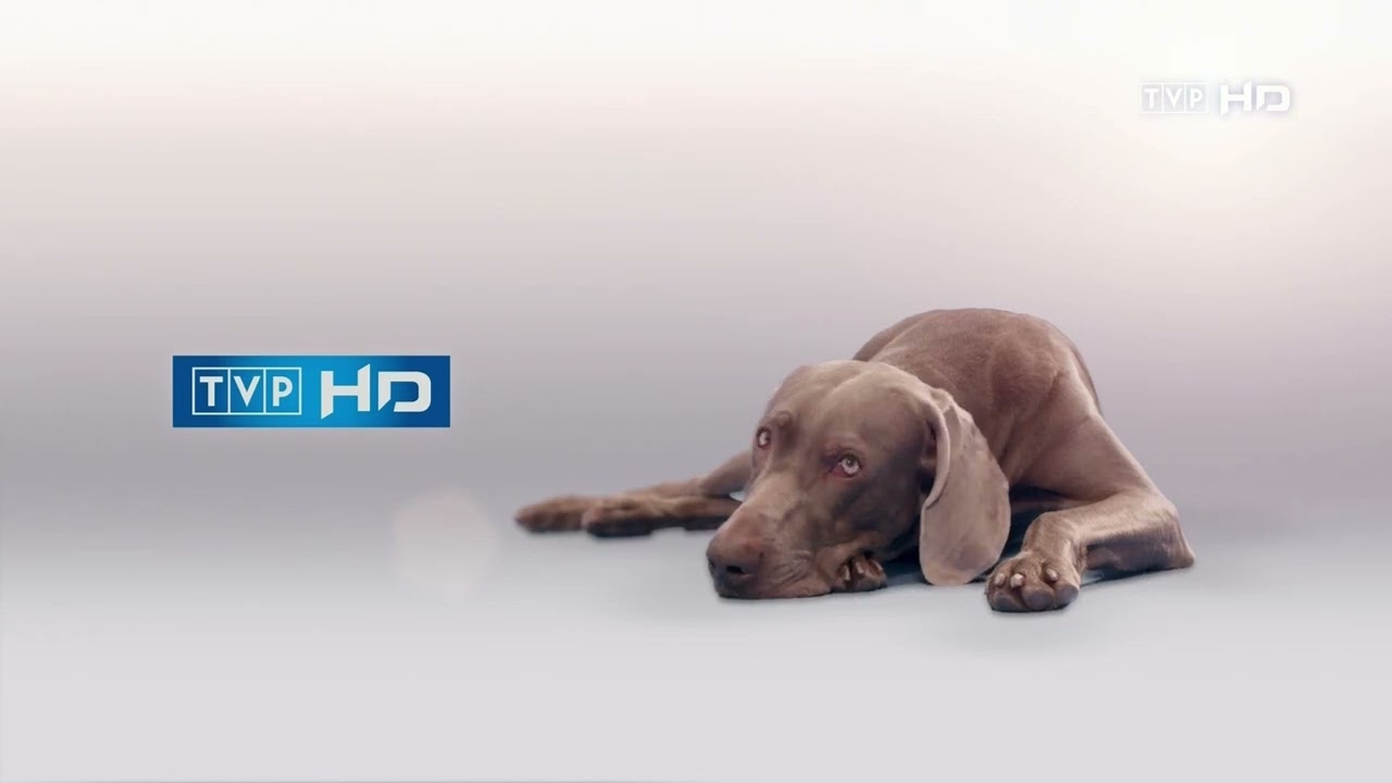 TVP HD 1080p50@ Zakończenie Programu