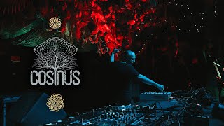 Download Lagu Cosinus – Live at Ozora Festival 2025 MP3