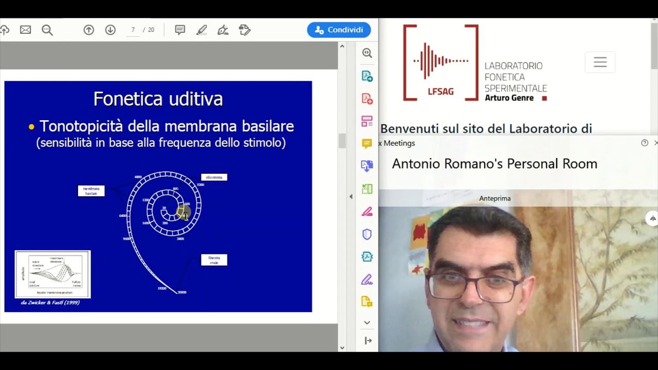 65 - Lezione 15b - tonotopicità e mascheramento