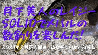 #16【メバル釣り】月下美人の澪示威 SOLID(レイジーソリッド、メバル釣り用プラグ)でメバルの数釣りを楽しんだ！2021年2月第2週目　広島県江田島市能美島