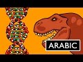 فهم الحمض النووي دي ان ايه