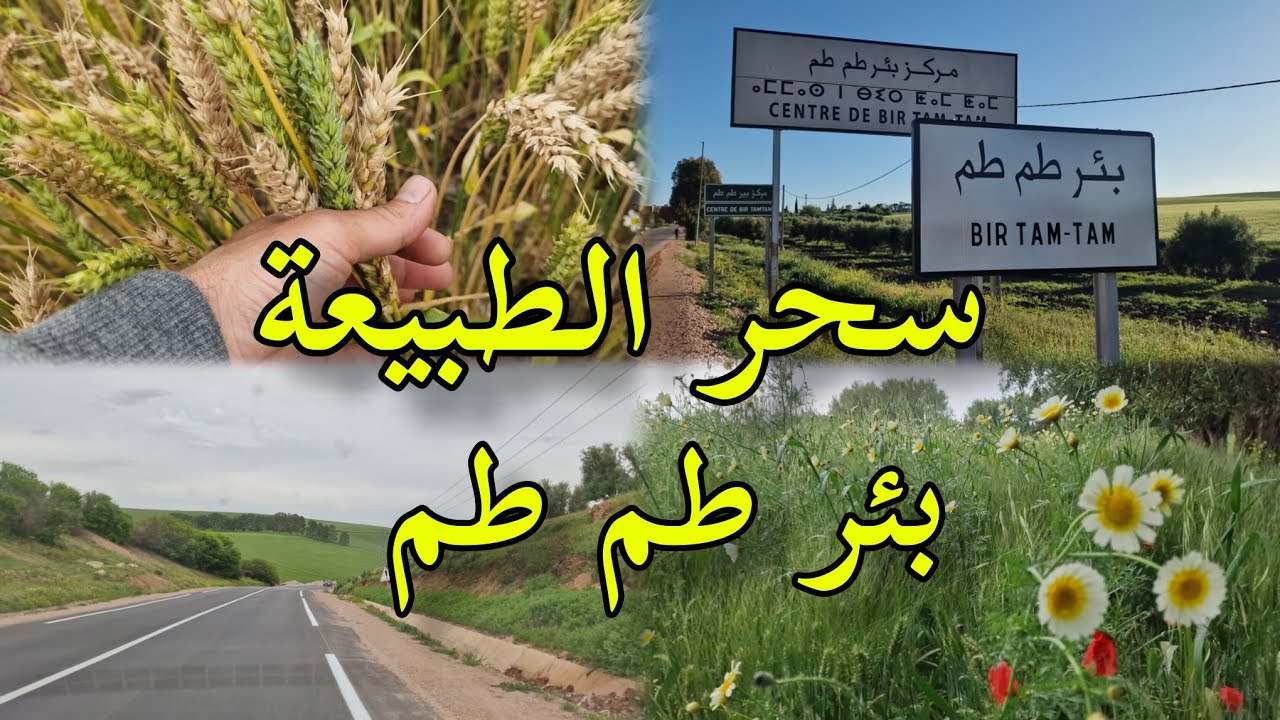 سحر الطبيعة على طريق سيدي حرازم نحو بئر طم طم