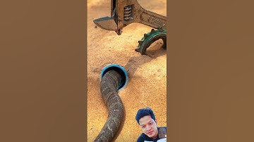 đặt bẫy rắn độc là miền Tây phần thứ 90 cả nhà ơi