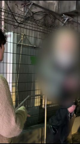 飛んだキャストが引抜き②