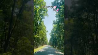 Bokaro Ranchi road trip #roadtrip #nature #longdrive #ytshorts #dailyshorts #minivlog #viralshort