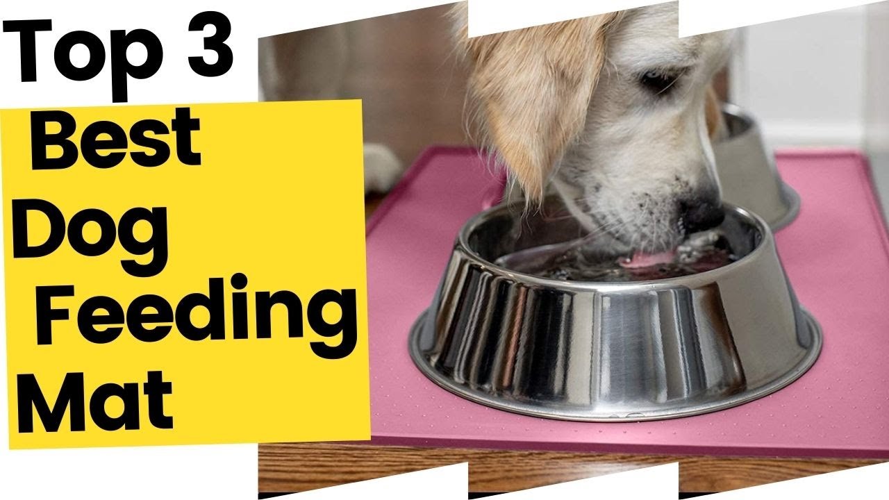 best dog food mat
