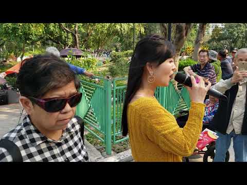 屯門公園  2019年4月3日 小紅 忘不了