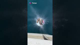 Water Firework of LittleBigPlanet 3 #littlebigplanet3 #roadto10ksubscribers #tempoapp #shorts