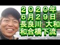 鮎釣り 長良川 釣果 小澤剛 友釣り無双