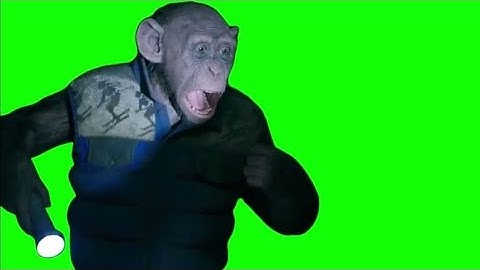 Aap zegt "OH NEE!" meme - Groen scherm - War for the Planet of the Apes