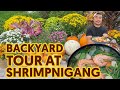 Backyard Tour at Shrimpnigang