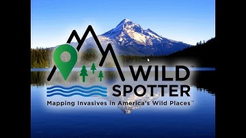 Wild Spotter - Mapping Invasives in America
