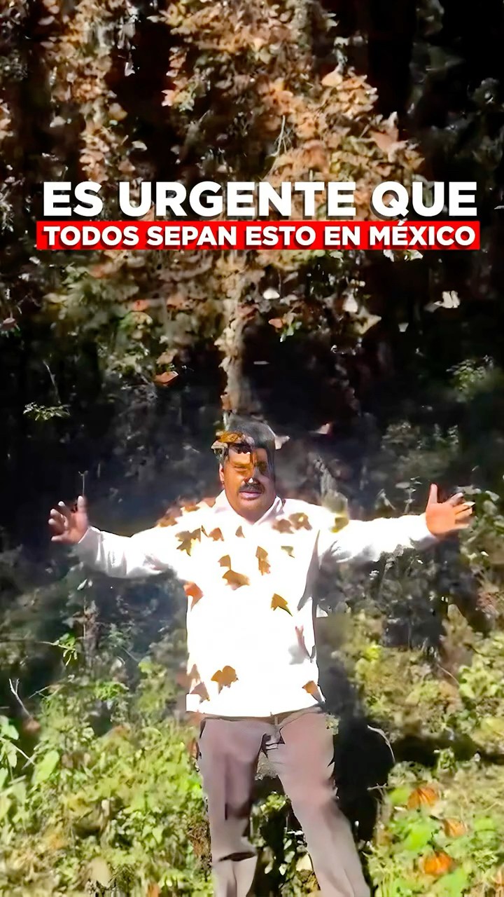 Es urgente que todos sepan esto en México
