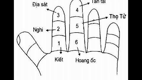 Hoàng ốc trong tử vi là gì năm 2024