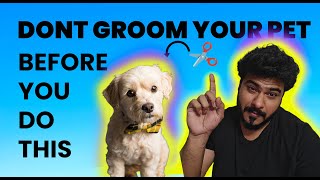 5 Important Points for Choosing a Professional Pet Groomer | Pet Care Tips | PurePaws