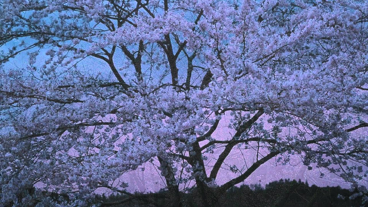 夢桜ページ ジュスカ・グランペール 