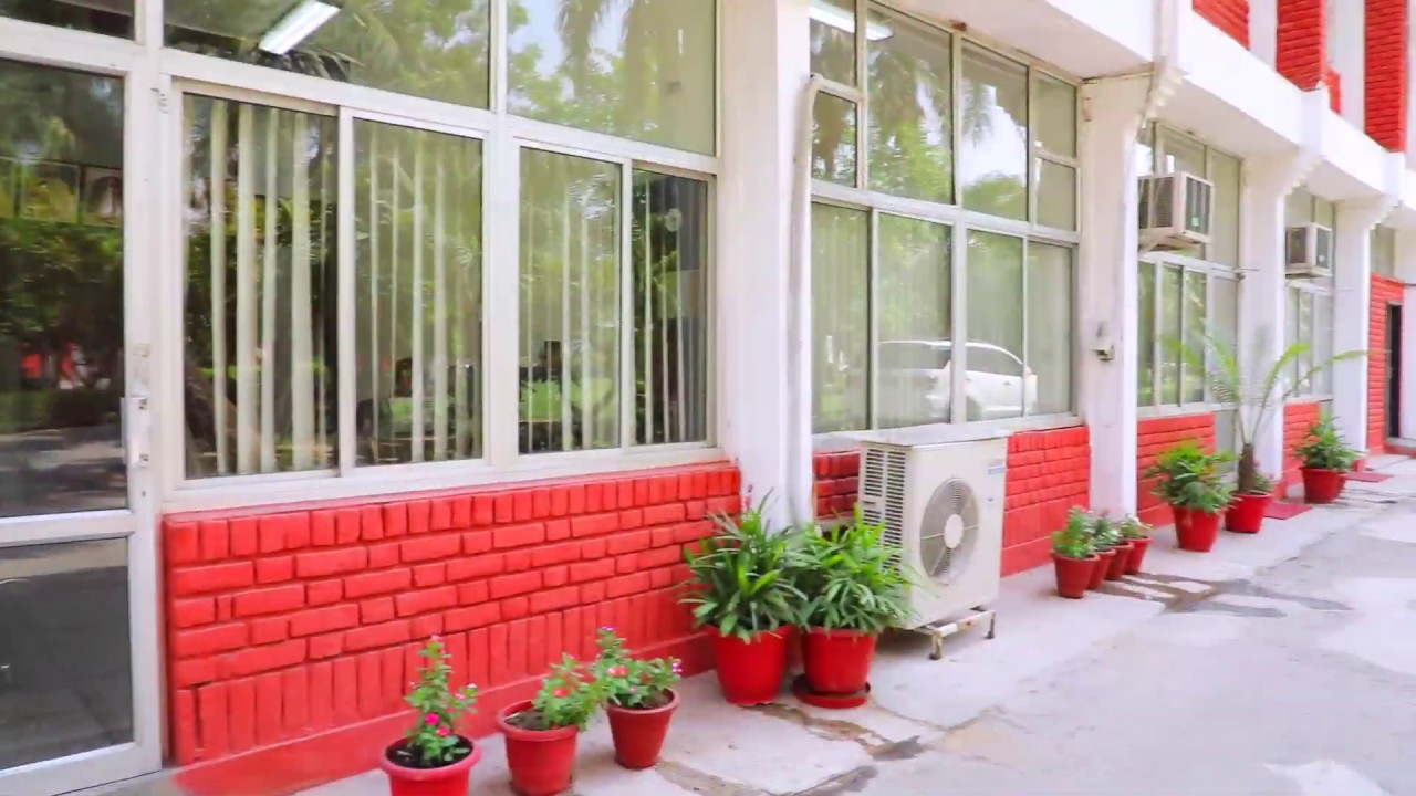 Offering Complete Gym Setup X Degree Gym Equipment YouTube