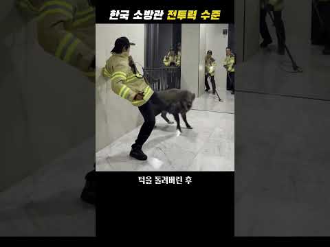 <strong>한국</strong> 소방관 전투력 수준