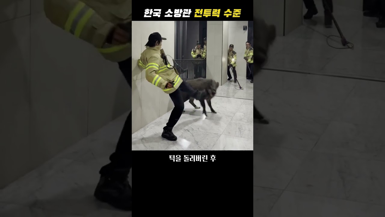 한국 소방관 전투력 수준 썸네일