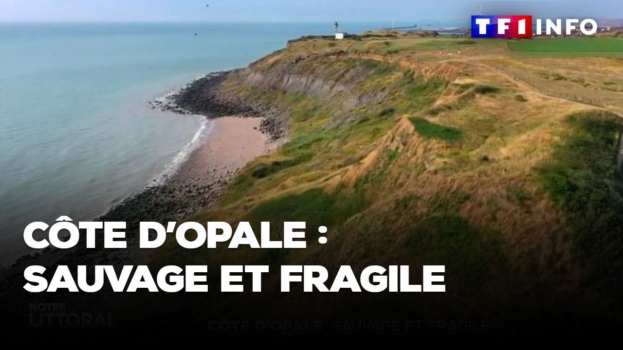 Côte d’Opale : sauvage et fragile