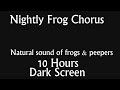 Nightly frog peepers chorus  10 hours of dark screen  natural sound