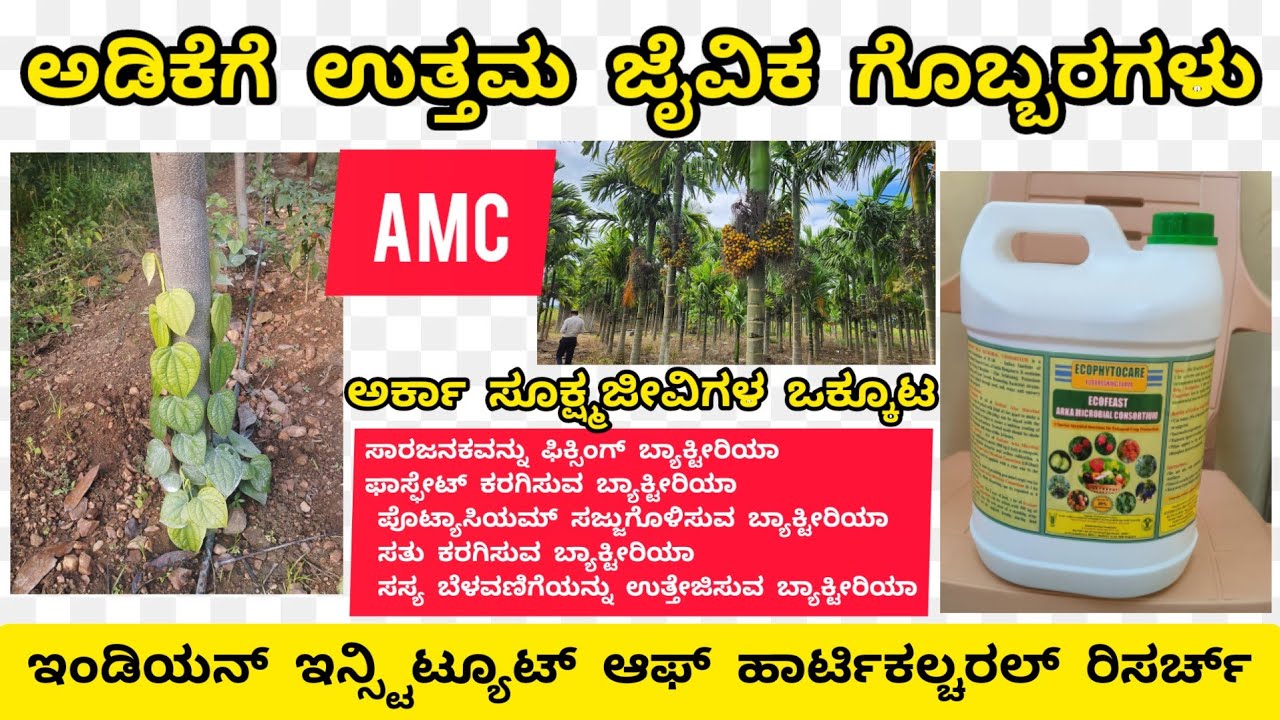 ARKA MICROBIAL CONSORTIUM - AMC BIOFERTILIZER. ಅರ್ಕಾ ಮೈಕ್ರೋಬಿಯಲ್ ಕನ್ಸೋರ್ಟಿಯಂ| IIHR