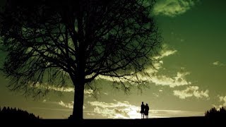 The Mystery Of Your Ancestors
