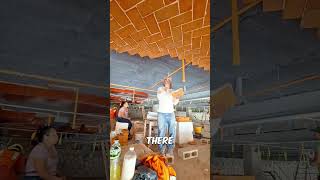 Pillar Free Roofs#shorts