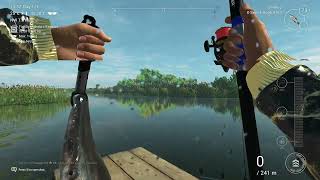 Famous Unique Florida Gar - Fishing Planet - Everglades - USA Net Worth