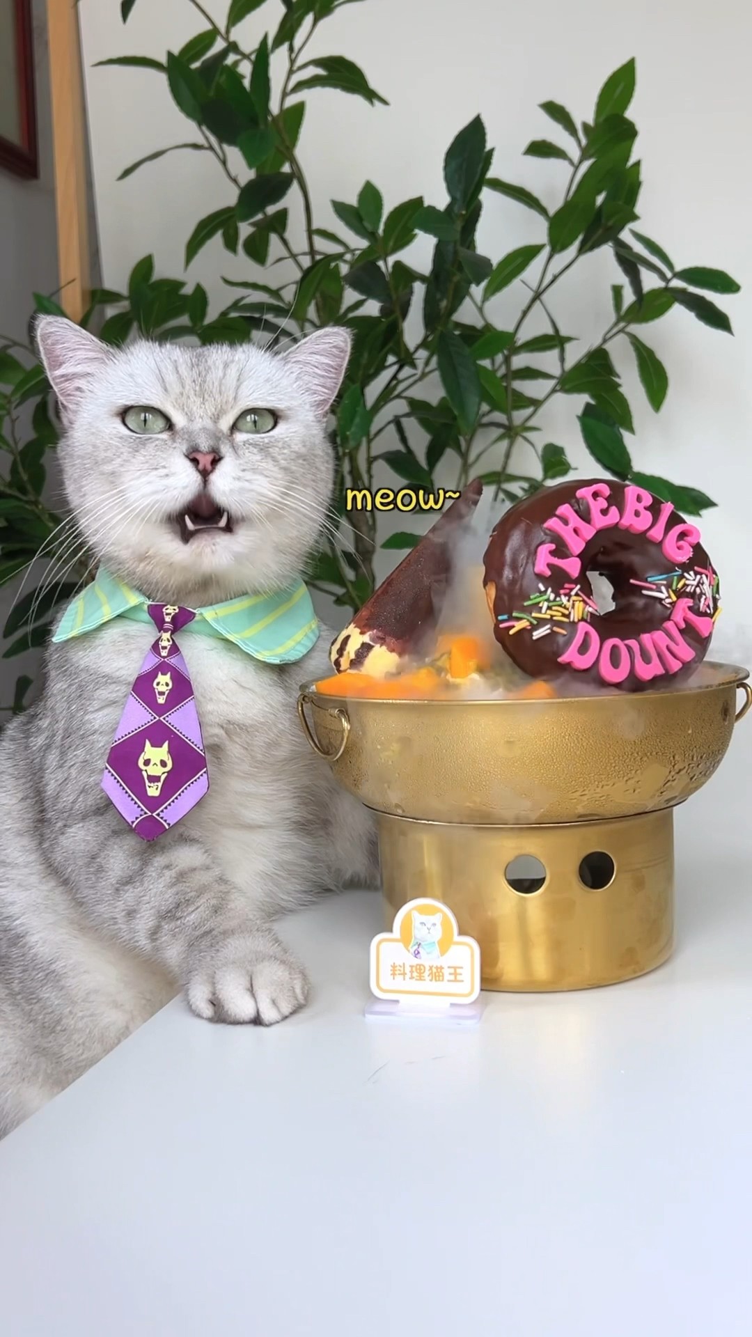Mango Ice \u0026 Choco Donuts, Perfect Summer Treat!?? #catsofyoutube #foodlover #tiktok