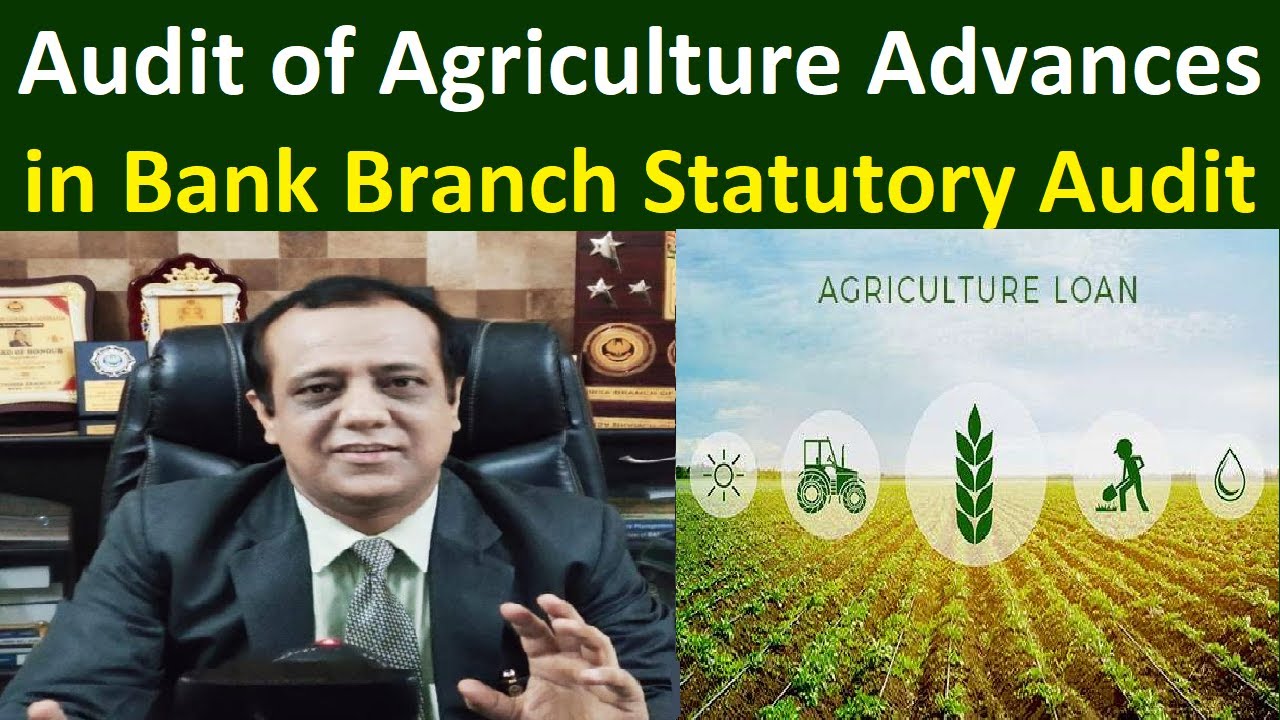 Audit of Agriculture Advances in Bank Branch Statutory Audit and Audit ...