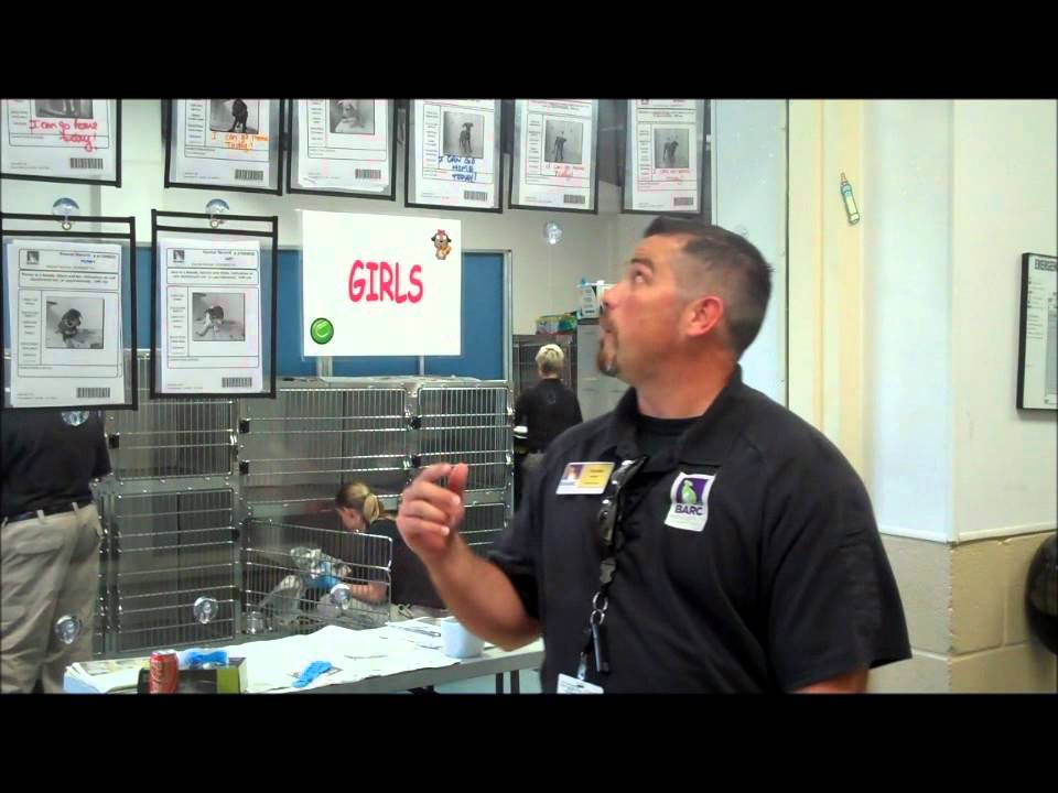 Meet Charles Jackson, BARC's Shelter Manager