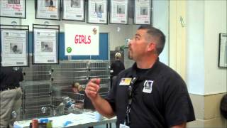 Meet Charles Jackson, BARC's Shelter Manager