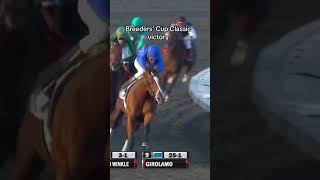 Happy ZENYATTA Day 😌 🎥 Breeders’ Cup