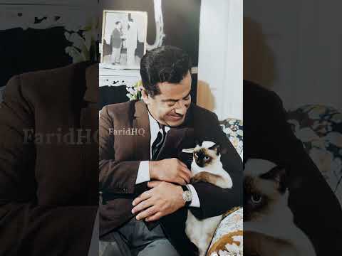    فريد الأطرش