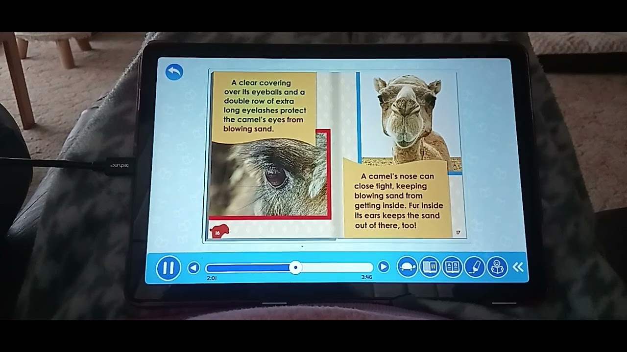 ABC Mouse: All About Camels